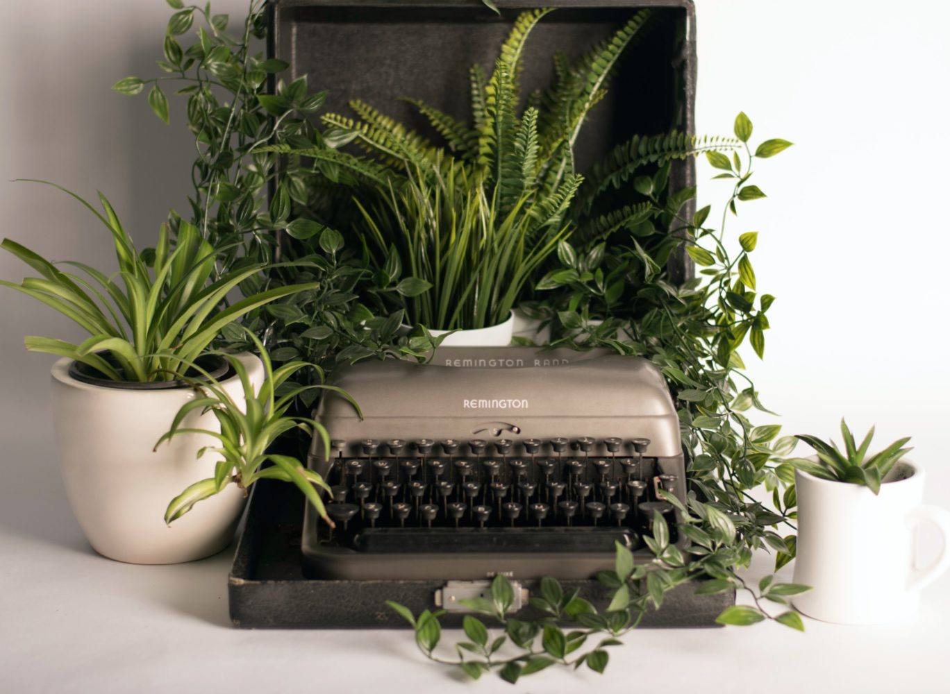 The Basics of Writing A Novel