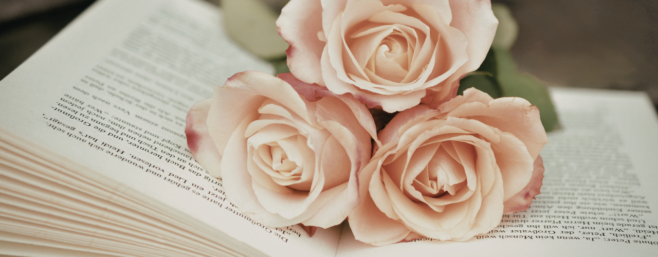 Plan Your Romance Novel